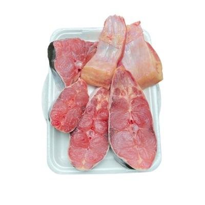 নদীর বড় পাঙ্গাশ মাছের ভাগা